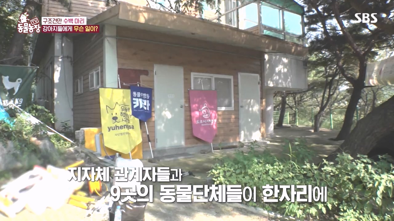 TV 동물농장.E1142.231023p-NEXT.mp4_20231022_171907.972.jpg