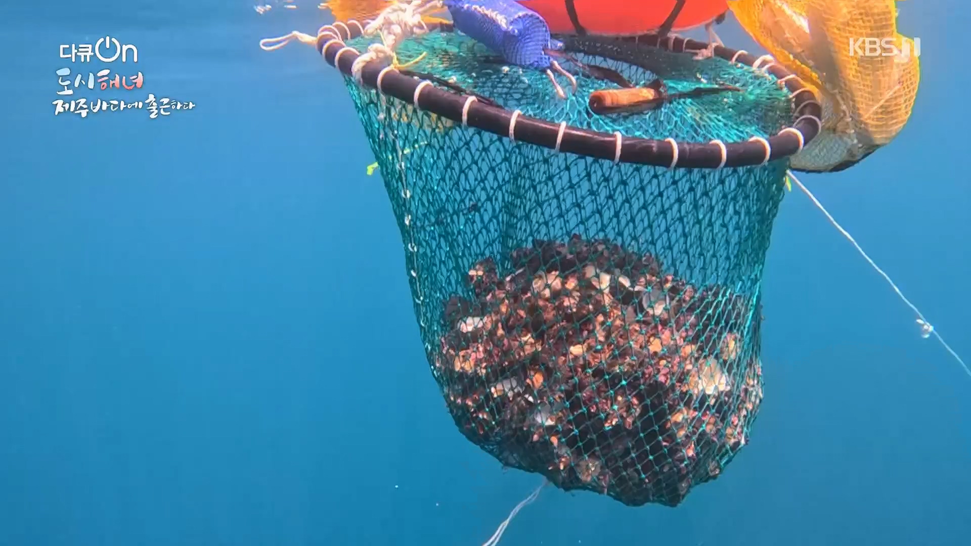 다큐 On.E197.230505p.H264-F1RST.mp4_20230507_133442.367.jpg