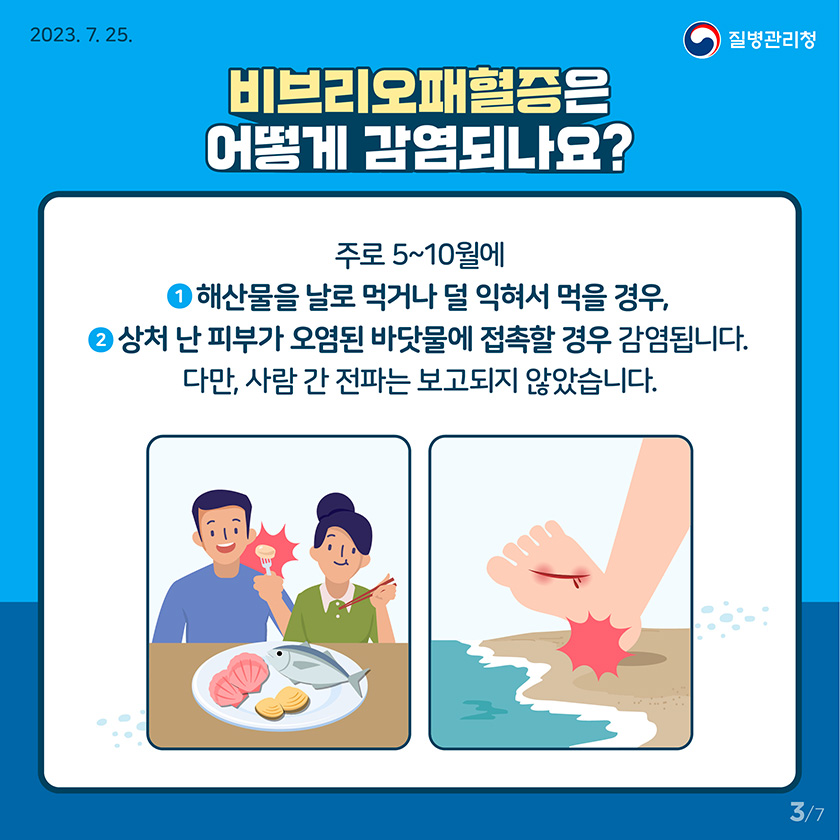 비브리오 패혈증 총정리 : 원인&amp;#44; 증상&amp;#44; 치료법 
