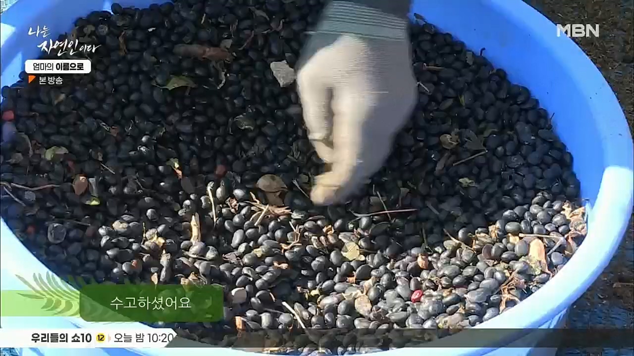 나는 자연인이다.E531.221208p.H264-F1RST.mp4_20221208_204247.256.jpg