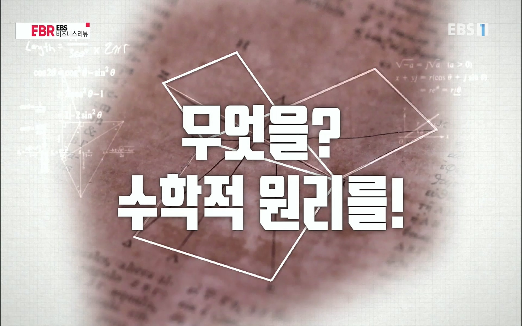 EBR - EBS Business Review이철희의 수학이 세상을 지배한다 - 2부 수학은 아이언맨의 슈트.mp4_20220717_133213.870.jpg