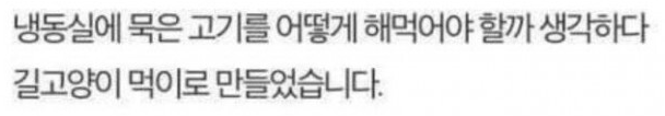  왔습니다 제 귀요미.jpg