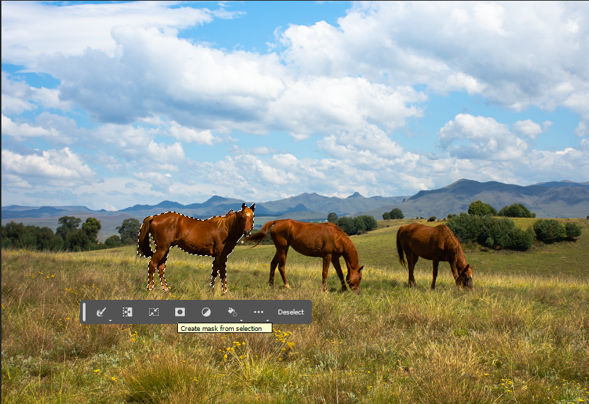 Object Selection Tool 기능으로 말 한마리 잡기