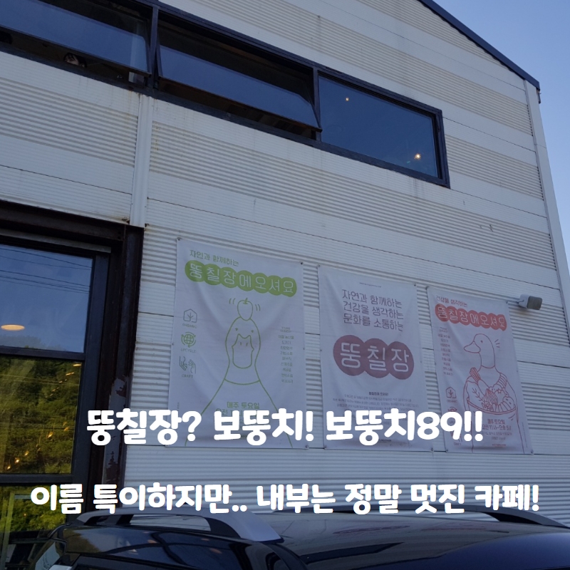  여기 특이한 카페가 있다! 보뚱치? 보뚱치! 보뚱치 89!!