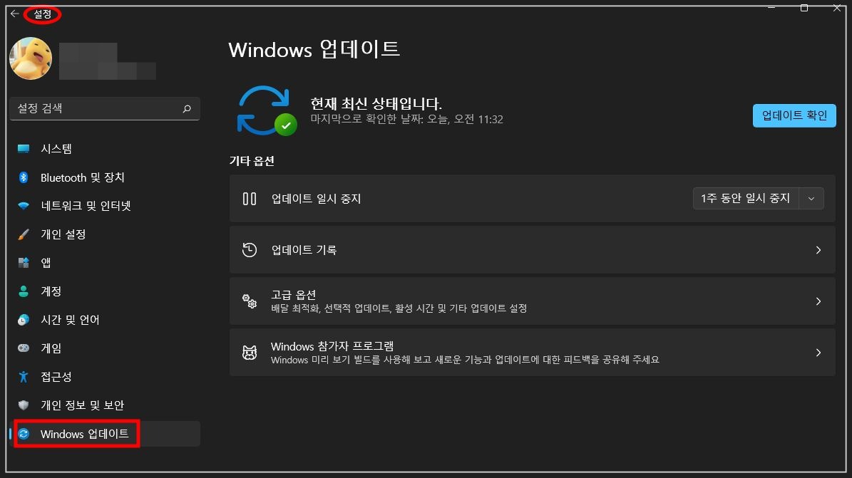 windows-업데이트-확인