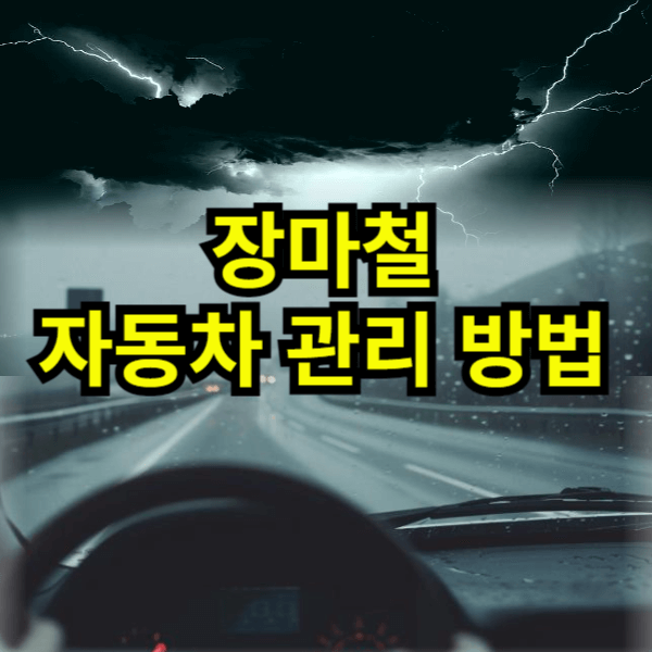 장마철 자동차 관리방법 썸네일