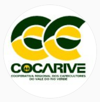  2019 COCARIVE Auction result (2019 코카리브 옥션결과)