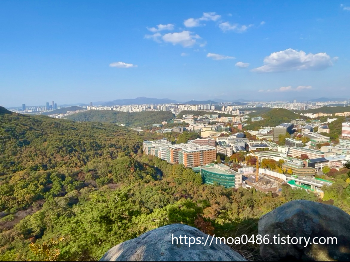 관악산 단풍