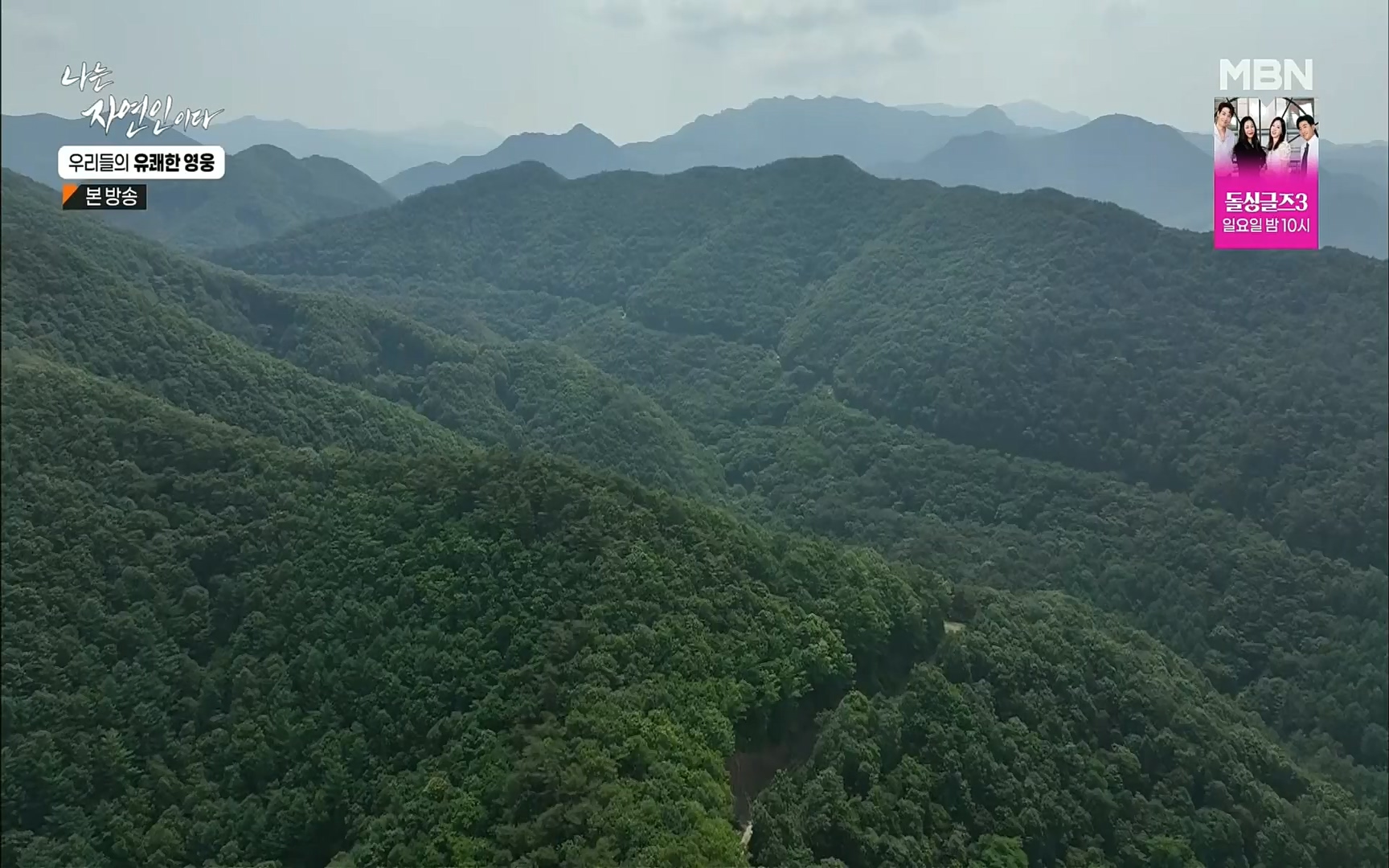 나는 자연인이다.E508.220629p.H264-F1RST.mp4_20220630_203347.447.jpg