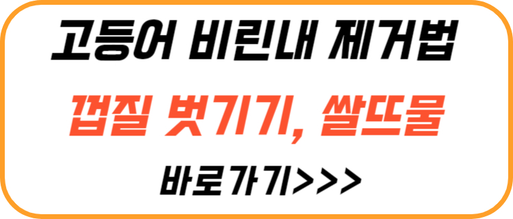 고등어-비린내-제거-방법