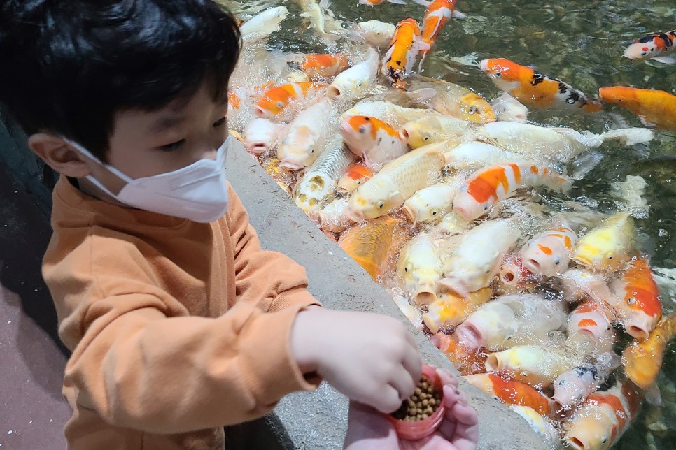 부천 아쿠아리움 부천 아쿠아리움먹이주기 체험 29