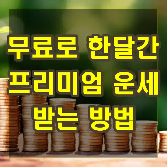 무료로 한달간 프리미엄 운세 받는 방법