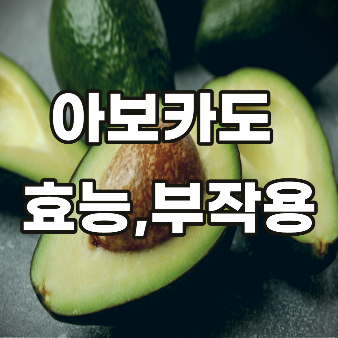 유기농 아보카도-효능-부작용-다이어트-먹는 시기-섭취-주의사항