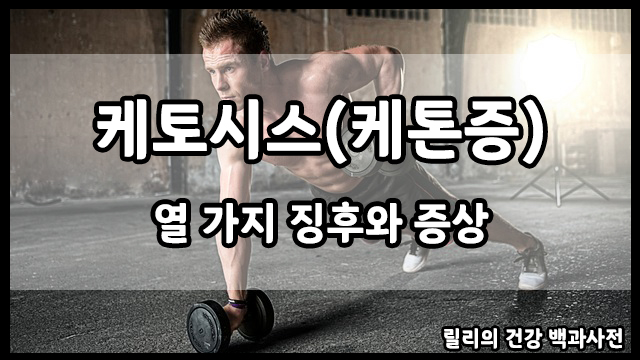 케토시스 (케톤증) : 열 가지 징후와 증상