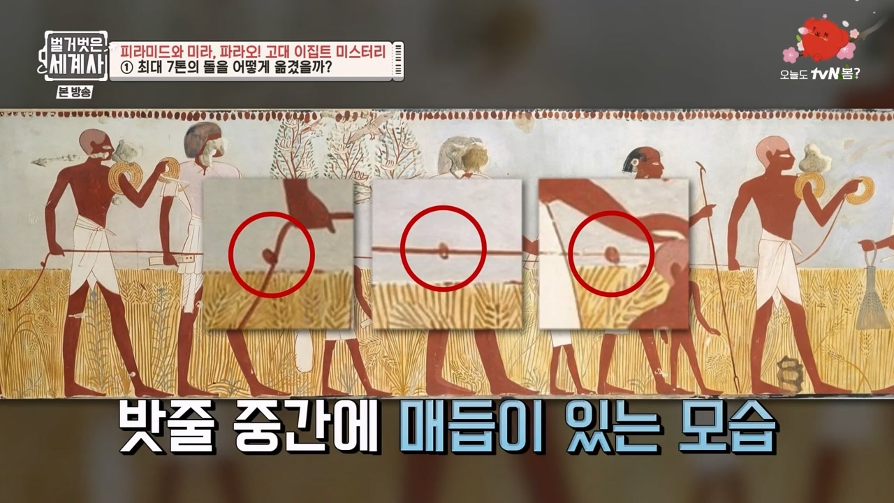벌거벗은 세계사.E91.230322p-NEXT.mp4_20230422_180056.177.jpg