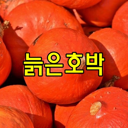  늙은호박 효능과 부작용 섭취시 주의사항