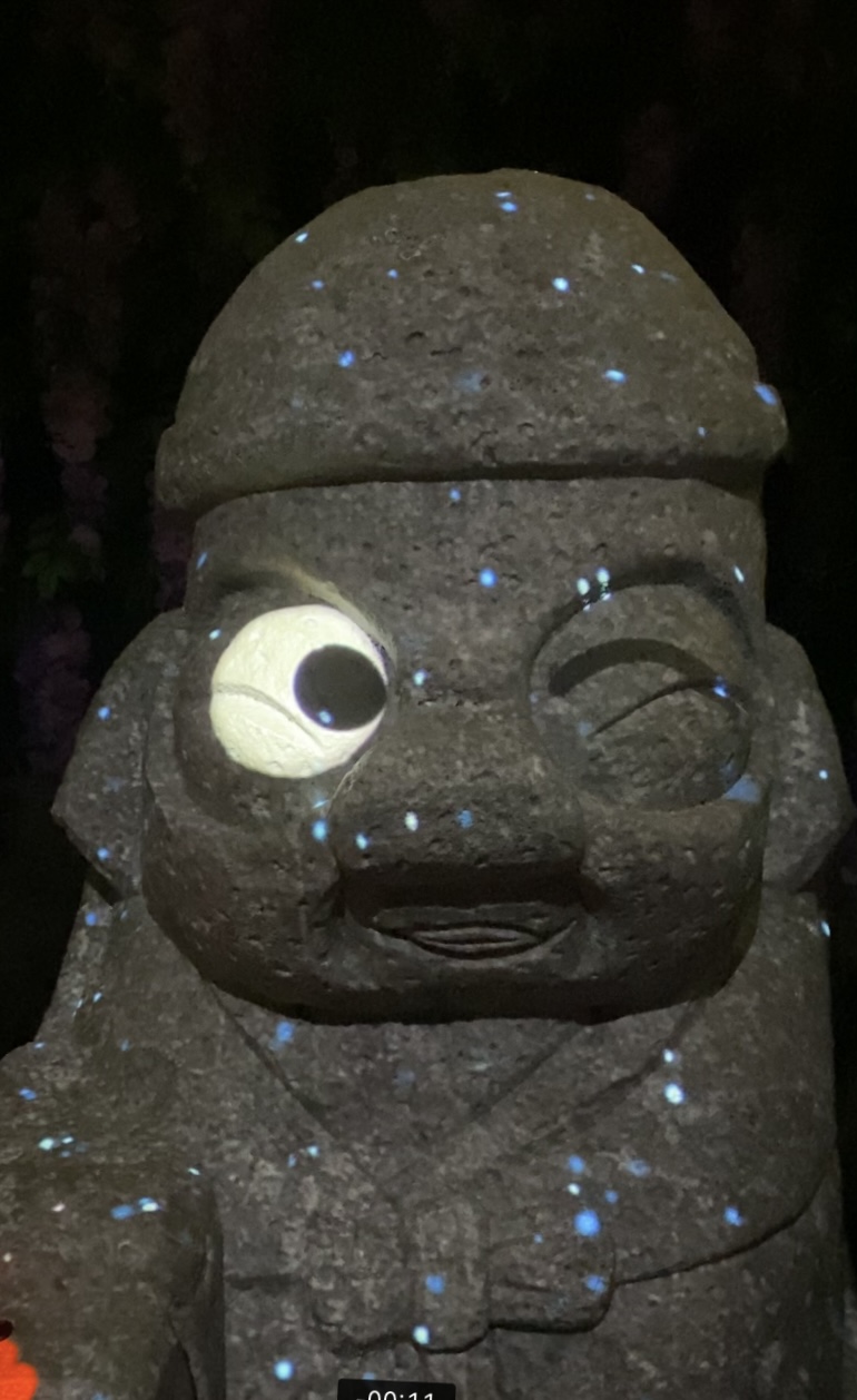 노형 이미지