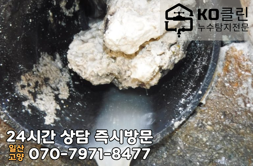 장항동 세차장2