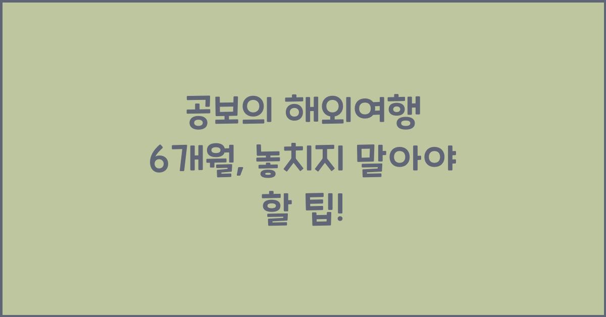 공보의 해외여행 6개월