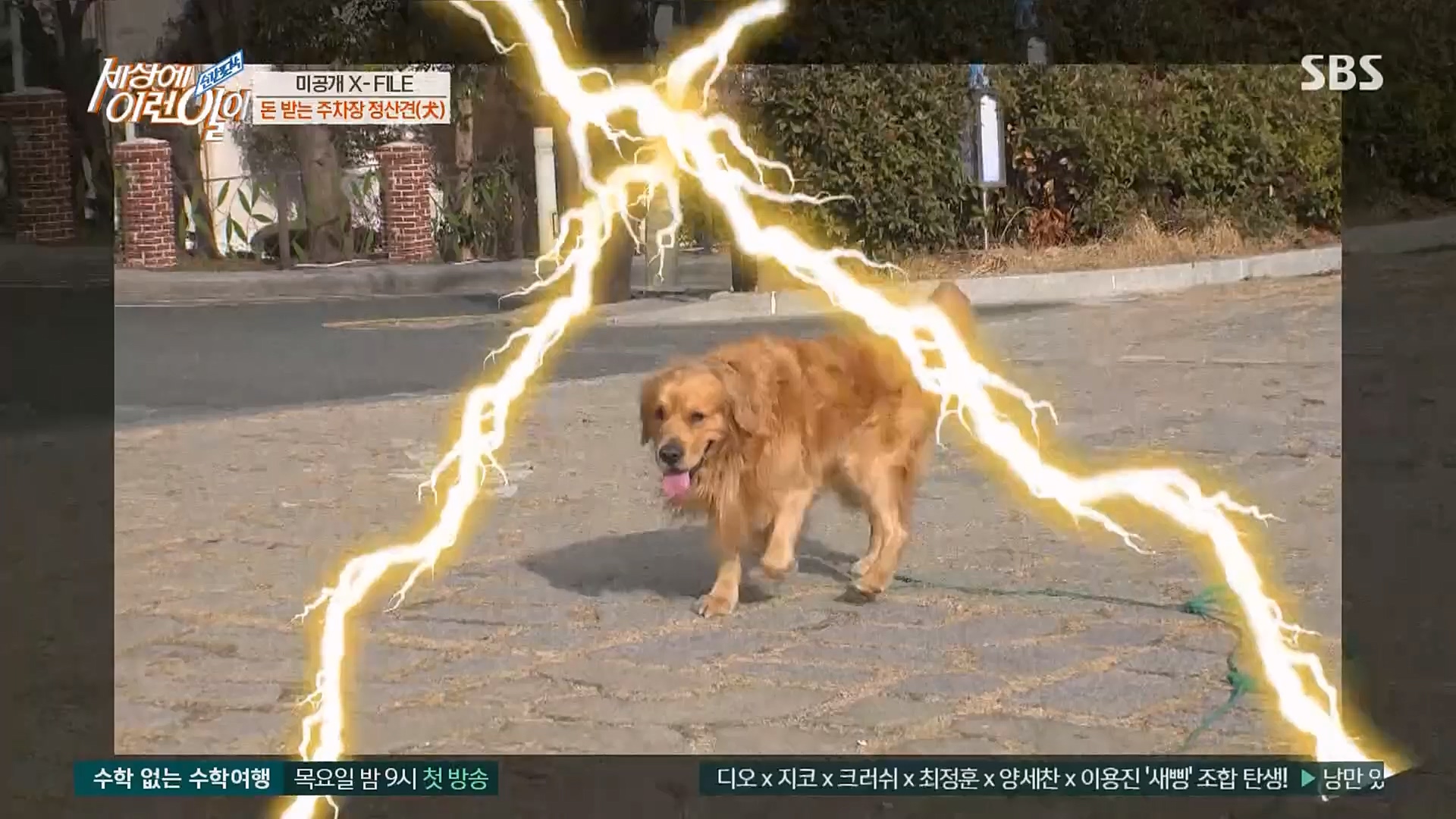 순간포착 세상에 이런일이.E1220.230307p.H264-F1RST.mp4_20230308_193451.887.jpg