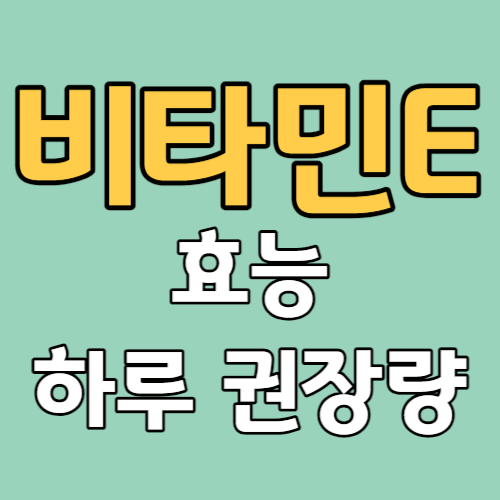 비타민E 효능 하루 권장량