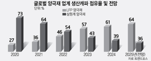 글로벌 양극재 시장의 Capacity 전망을 나타내는 막대그래프