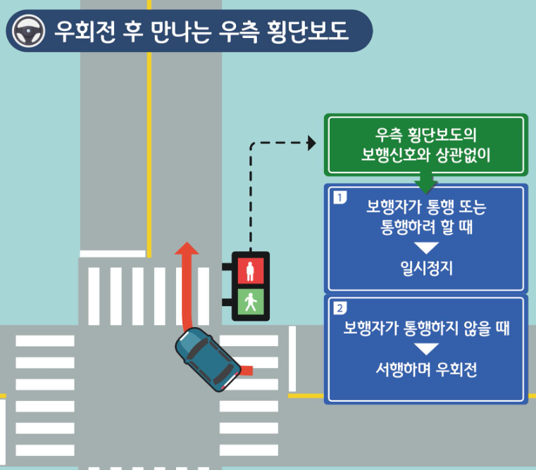 우회전-후-만나는횡단보도-우측횡단보도의-보행신호와-상관없이-보행자-통행하거나-통행하려할때-일시정지-보행자가-통행하지않을시-서행하며-우회전