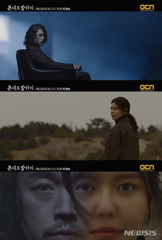  본대로 말하라 줄거리 몇부작 본방사수