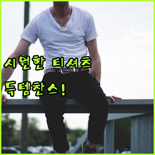 여름철 쇼핑 필수템 베이직 티셔츠 추