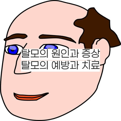 탈모의-원인과-증상-예방과-치료