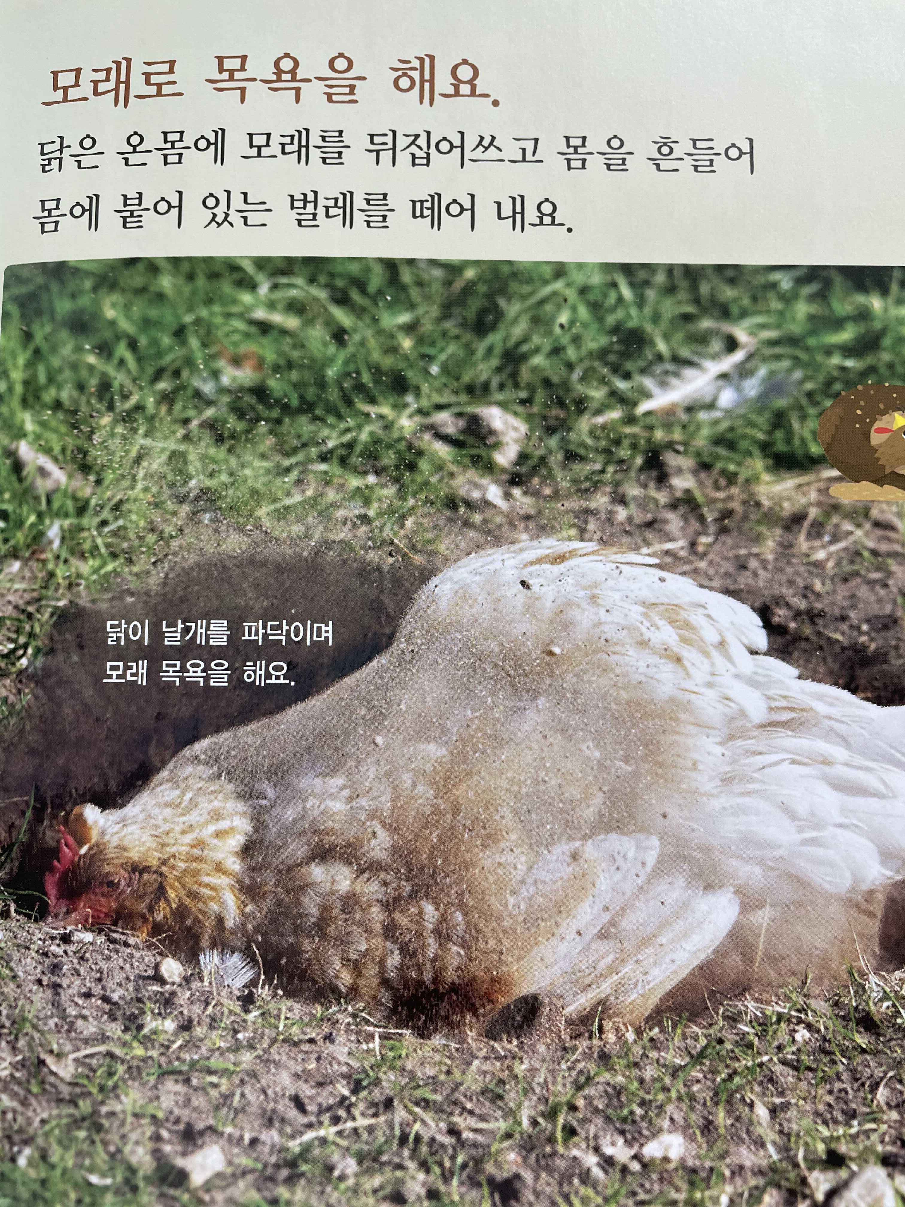 자연전집 이미지