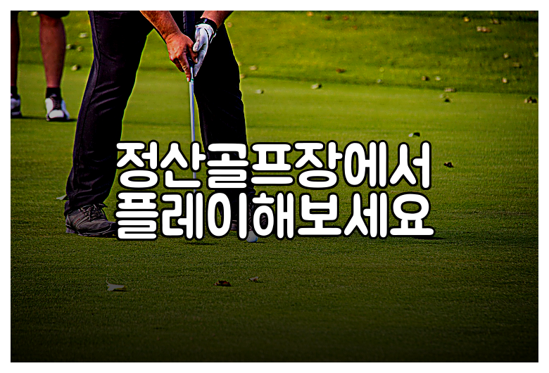 정산골프장에서 플레이해보세요
