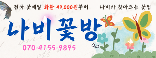 나비꽃방
