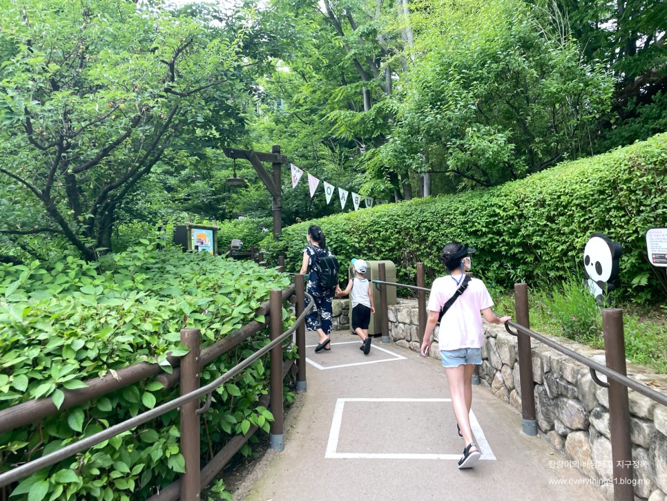 할인 레니 찬스로 판다 월드 에버랜드 자유이용권