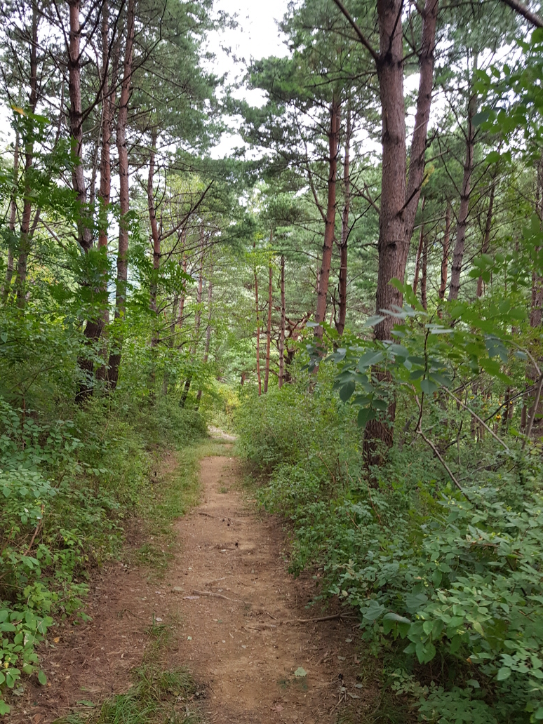 한국 명산 경북 영덕 칠보산 등산 mountain hiking