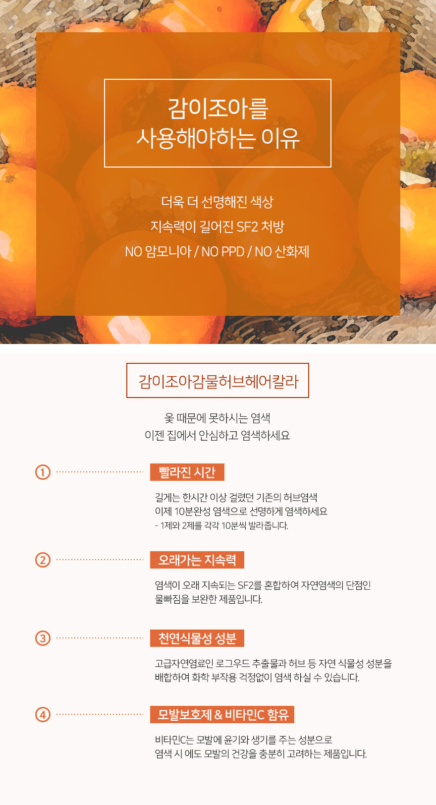 감이조아 이미지