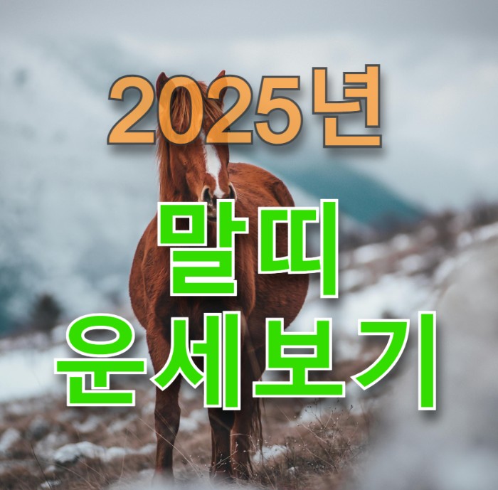 말 사진에 '2025년 말띠 운세보기' 문구