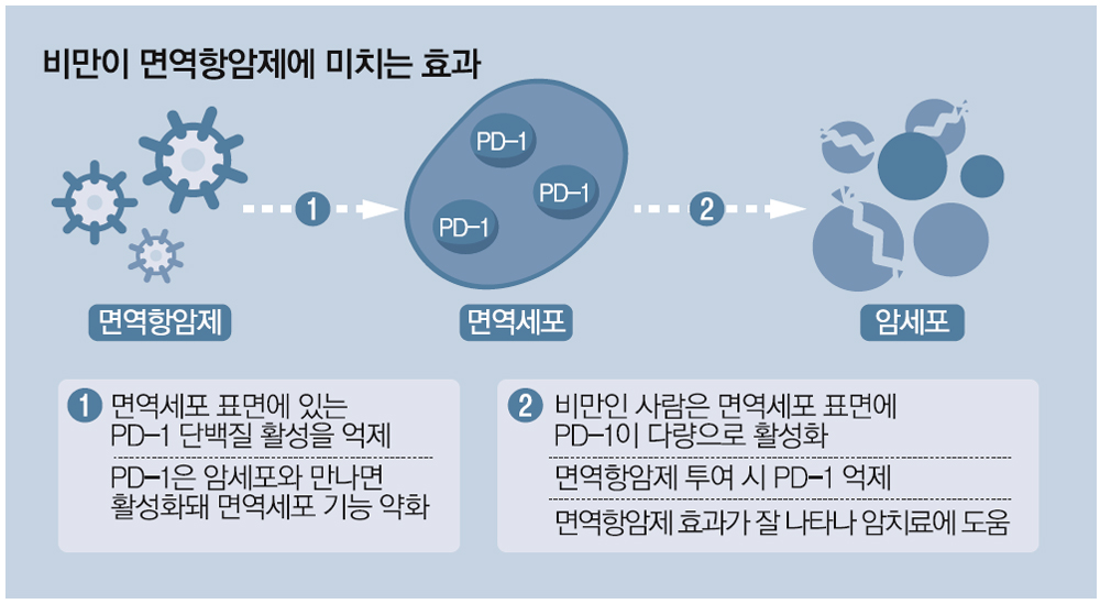  비만하면 여러가지 암에 걸릴 확률이 높아진다