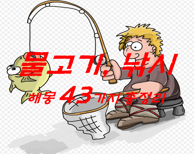  물고기꿈 해몽 43가지 총정리