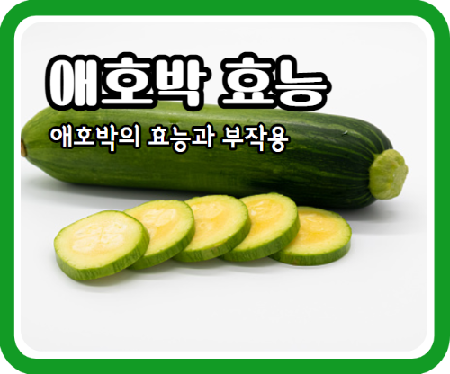 애호박 효능 10가지와 부작용