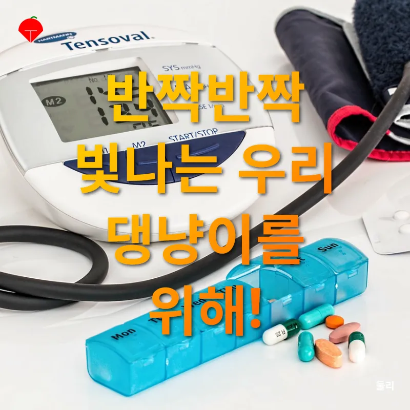 반려동물 건강 관리_3