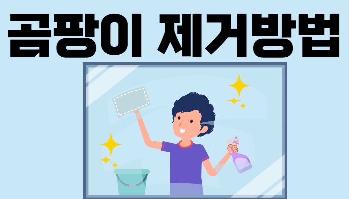 욕실 곰팡이