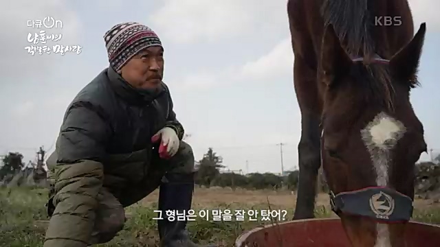 [189회] 다큐온 - KBS남훈 씨의 각별한 말 사랑] 연평균 1400여 마리의 경주마들이 경마장을 떠나 퇴역 경주마가 된다.ts_20230330_211153.464.jpg