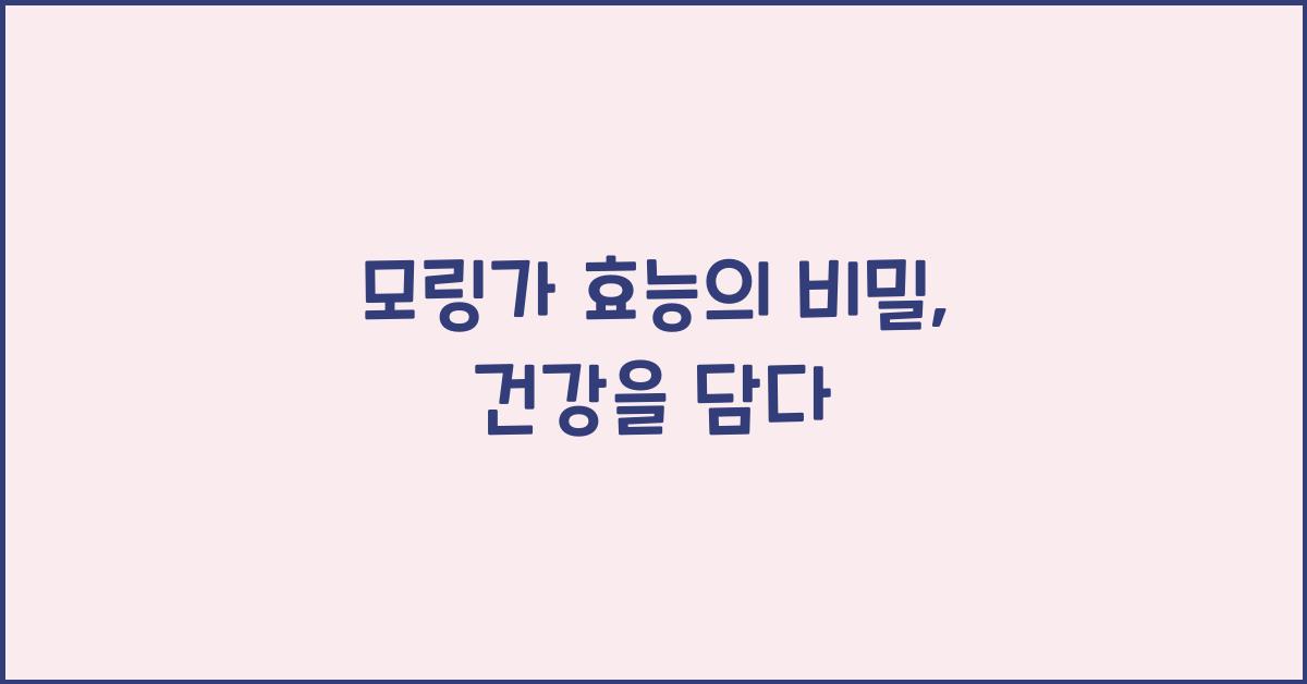 모링가 효능의  