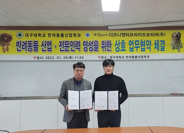 대구 엔터프라이즈 이미지