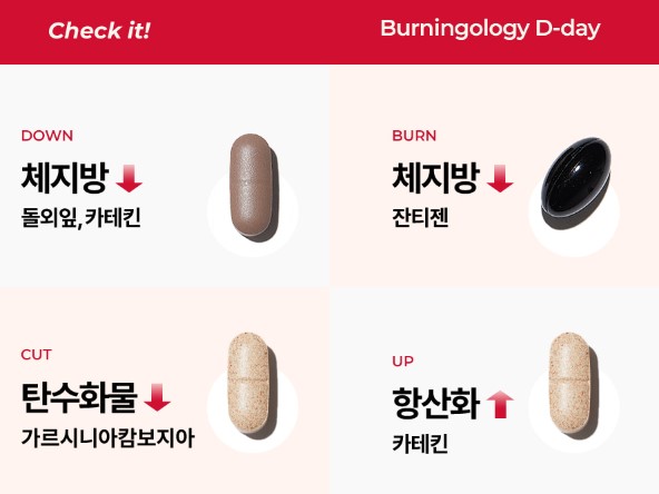 버닝올로지 디데이