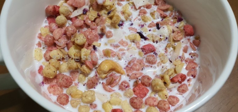 오자크 OCAK 가쓰카츠 오트밀 씨리얼 마구 먹어치우는 샤오잔 광고