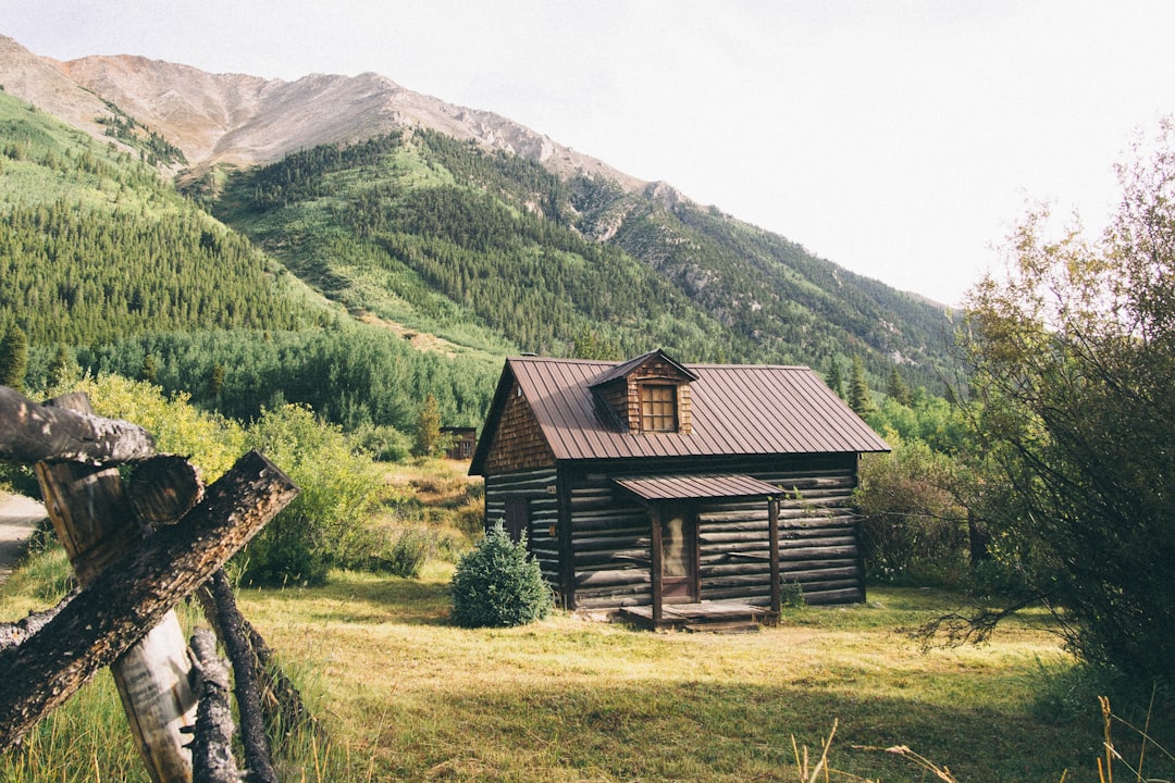 'Cabin'