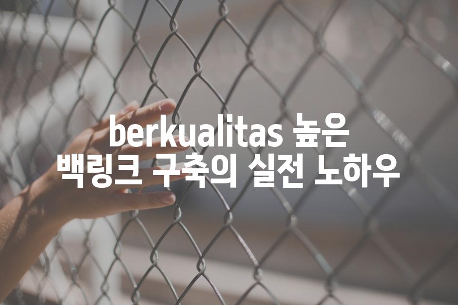 berkualitas 높은 백링크 구축의 실전 노하우