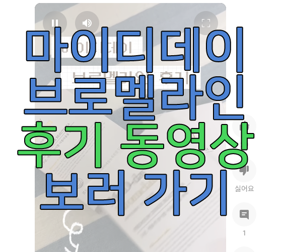 마이디데이 브로멜라인에 관한 후기 동영상 보러 가기 링크 사진